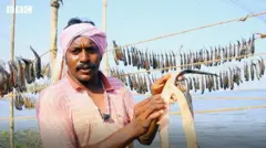 గోదావరి చేపలు