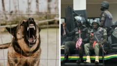 Police confirm dem keep girl wey dey bark like dog for cell, arrest boyfriend
