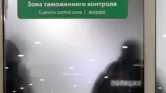 Полиция в аэропорту Шереметьево