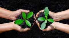 पर्यावरण, निसर्ग, हवामान बदल