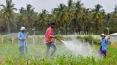 india farmers