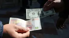 ارز