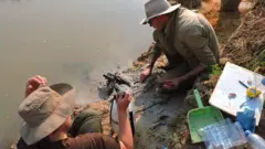 Larry Barham agachado na margem de rio, usando ferramenta em direção ao solo