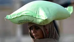 pakistan crops