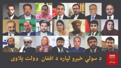 پلاوی