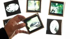 Imagens do ornitorrinco Winston