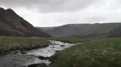rivers