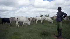 Mucaa Turkaanaatti loon eegaa jiru