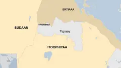 Kaartaa Humaraa, Tigraay