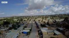 ዛላምበሳ