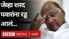 शरद पवार
