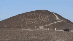 Nazca cat