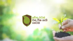Wasa wisa nethi hetak banner