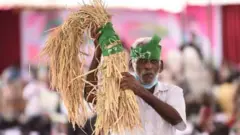 వడ్లు చూపుతున్న రైతు