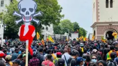 श्रीलंका, आंदोलन, गोटाभया, अर्थव्यवस्था, अनागोंदी