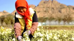 Agricultora
