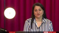 هنري شېبې