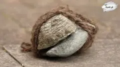 شَعر الإنسان: أداة فنية تعبر عن هشاشته وقوته في آنٍ واحد