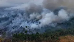 آتش سوزی جنگلی