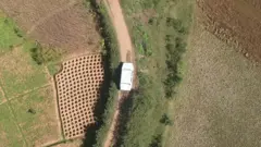 car in a field