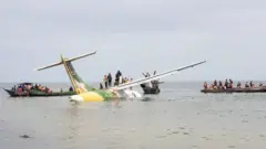 विमान
