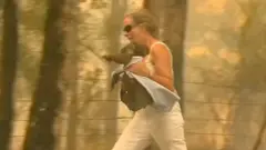 Mulher salva coala do incêndio