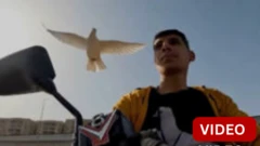 பைக்கில் செல்லும் உரிமையாளரை பின் தொடரும் புறா