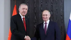 Erdoğan Putin