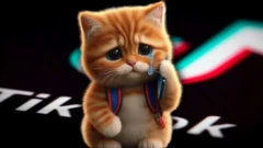 ያዘነች ድመት 