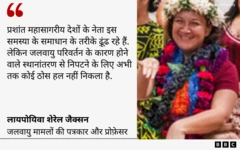 लायपोयिवा शेरेल जैक्सन का कोट