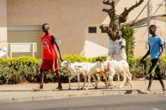 Quand l'insécurité et le blocus des groupes armés pèsent sur les prix des moutons et denrées au Mali