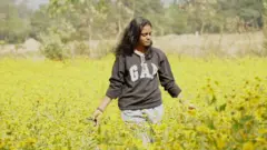 వలిసె పూలు అరకు, విశాఖపట్నం, ఏజెన్సీ, ఆంధ్రప్రదేశ్