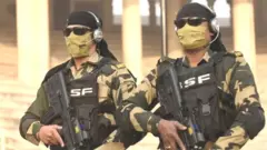 बीएसएफ