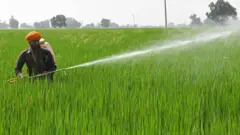 ਪੈਸਟੀਸਾਈਡ