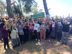 Danıştay'dan Akbelen kararı: Milas'taki acele kamulaştırmalar durduruldu
