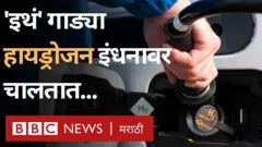 डेन्मार्क, जागतिक हवामान बदल