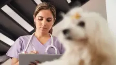 Médica veterinária