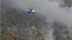 Aydın Çine orman yangını