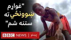 کارګر ماشومان:
