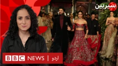 سیربین، انڈیا، پاکستان، کشیدگی، انٹرٹینمنٹ، فن فنکار