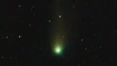 دنباله‌دار پی/پونس-بروکس ۱۲ 
