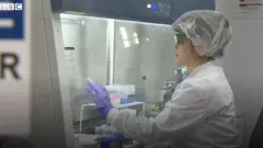 Laboratório
