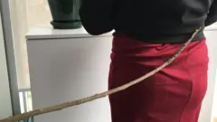 Pesin wey dey receive cane
