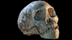 त्या मुलाचं वय 3 ते 4 वर्षाचे असावं. ते गरुडाच्या हल्ल्यात मृत झाले असल्याचं आढळलं.