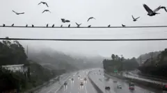 A Pacific Highway em um dia de chuva em Los Angeles