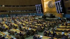 UN General Assembly