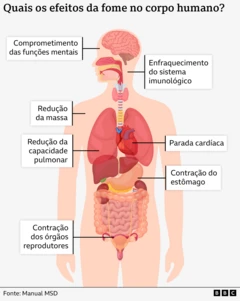 Os efeitos da fome a longo prazo
