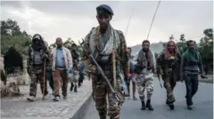 Loltoota TPLF