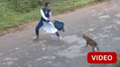 காணொளி: பள்ளி மாணவியை விரட்டிய தெருநாய்கள்