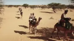 ऊंटों वाली फ़ौज